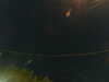 20241005040739-G0017578.JPG