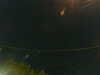 20241005042141-G0017633.JPG