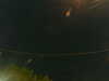 20241005042328-G0017640.JPG
