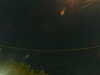 20241005042359-G0017642.JPG