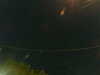 20241005042717-G0017655.JPG