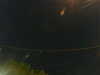 20241005042819-G0017659.JPG