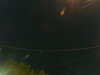 20241005042905-G0017662.JPG
