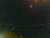 20241005042920-G0017663.JPG