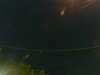 20241005043021-G0017667.JPG