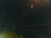 20241005043153-G0017673.JPG