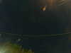 20241005044133-G0017711.JPG