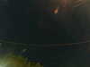 20241005044305-G0017717.JPG