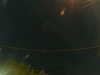 20241005044421-G0017722.JPG