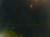 20241005044608-G0017729.JPG