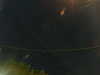 20241005044623-G0017730.JPG