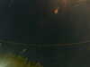 20241005044957-G0017744.JPG