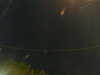 20241005045432-G0017762.JPG
