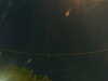 20241005045503-G0017764.JPG