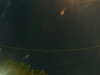 20241005045518-G0017765.JPG