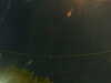 20241005045548-G0017767.JPG