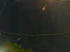 20241005045604-G0017768.JPG