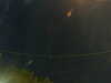 20241005045619-G0017769.JPG