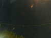 20241005045705-G0017772.JPG