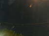 20241005045806-G0017776.JPG