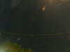 20241005045836-G0017778.JPG