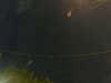 20241005045852-G0017779.JPG