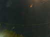 20241005045953-G0017783.JPG