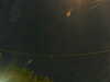 20241005050140-G0017790.JPG
