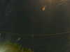 20241005050210-G0017792.JPG
