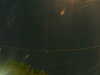 20241005050256-G0017795.JPG