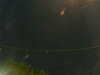 20241005050412-G0017800.JPG