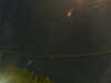 20241005050513-G0017804.JPG