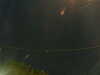 20241005050529-G0017805.JPG