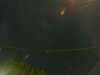 20241005050716-G0017812.JPG