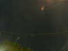 20241005050732-G0017813.JPG