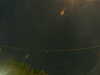 20241005050802-G0017815.JPG