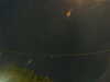 20241005050833-G0017817.JPG