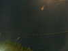 20241005051151-G0017830.JPG