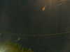 20241005051252-G0017834.JPG