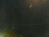 20241005051308-G0017835.JPG
