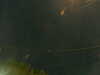 20241005051338-G0017837.JPG