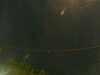 20241005051409-G0017839.JPG