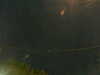 20241005051439-G0017841.JPG