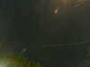 20241005051540-G0017845.JPG