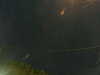 20241005051556-G0017846.JPG