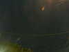 20241005051626-G0017848.JPG