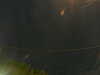 20241005051641-G0017849.JPG