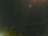 20241005051758-G0017854.JPG