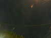 20241005051813-G0017855.JPG