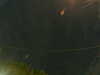 20241005052046-G0017865.JPG